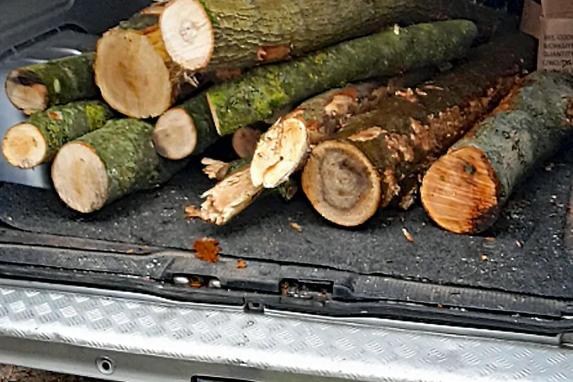 hout diefstal at sbb