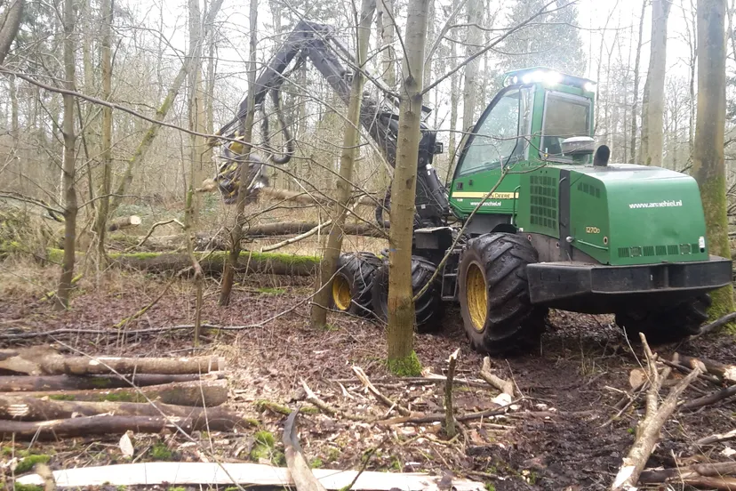 houtoogst kuinderbos 2020 20200122 125807