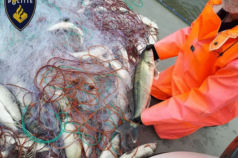 illegale netten voor kust nop politie landelijke eenheid nw