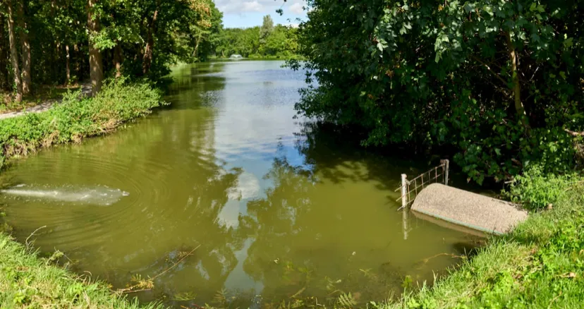 img 4458 e1598624790403