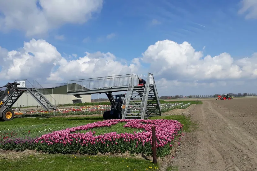 inrichting tulpenbelevingsveld 2017 img 2282