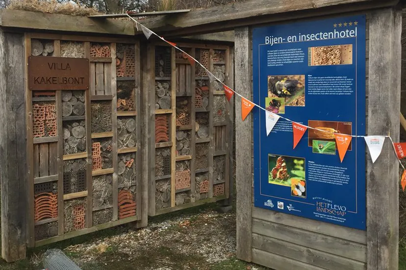 insectenhotel tollebeek