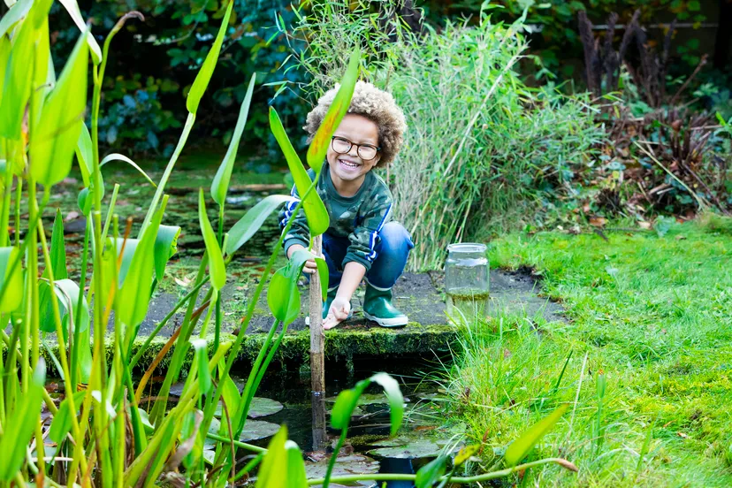 intratuincees rutten jr 8