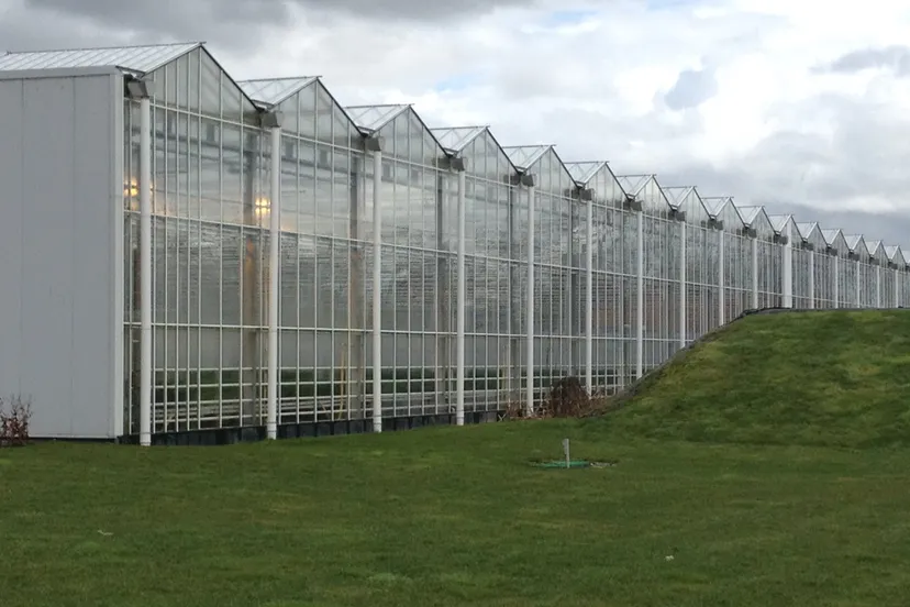 kas 2016 13 img 4790