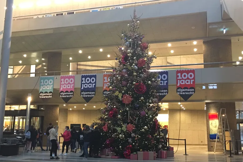 kerstboom kuinderbos in tweede kamer at martinevbemmel