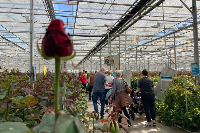 kik brockhoff img 7368