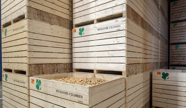 kisten 001a 600x350 1