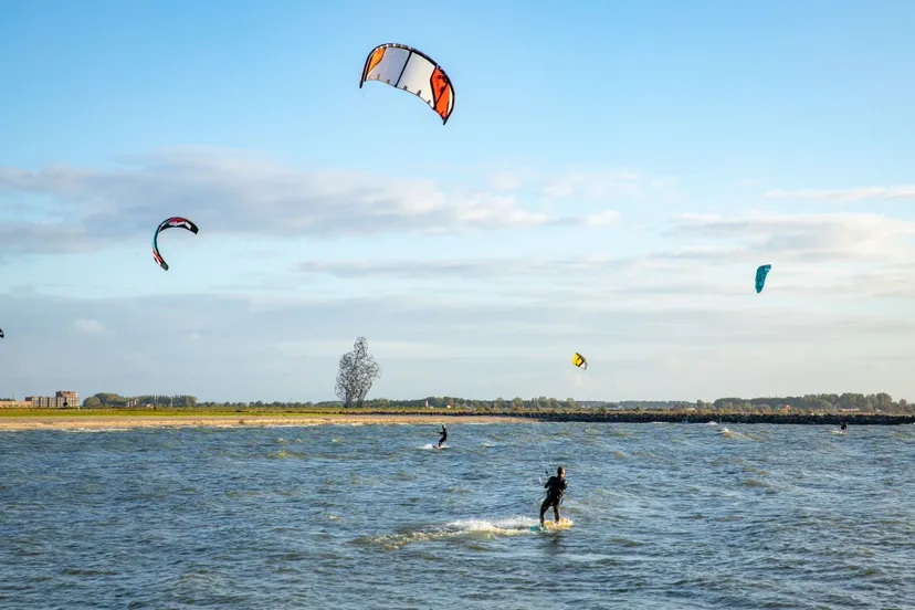 kistesurfers surfstrand batviastrand bron city marketing lelystad