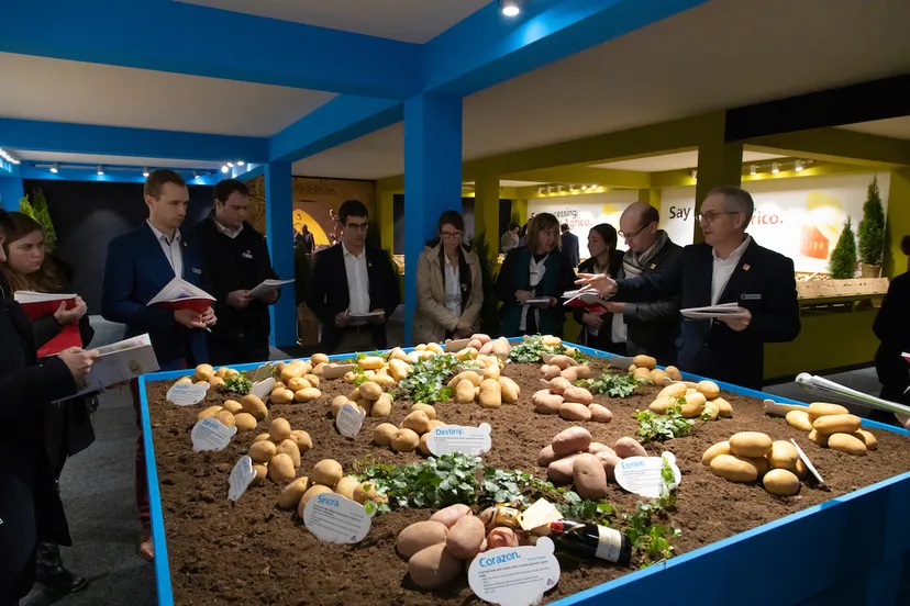 klein klaas eissens agrico rassenshow 07 11 19 4