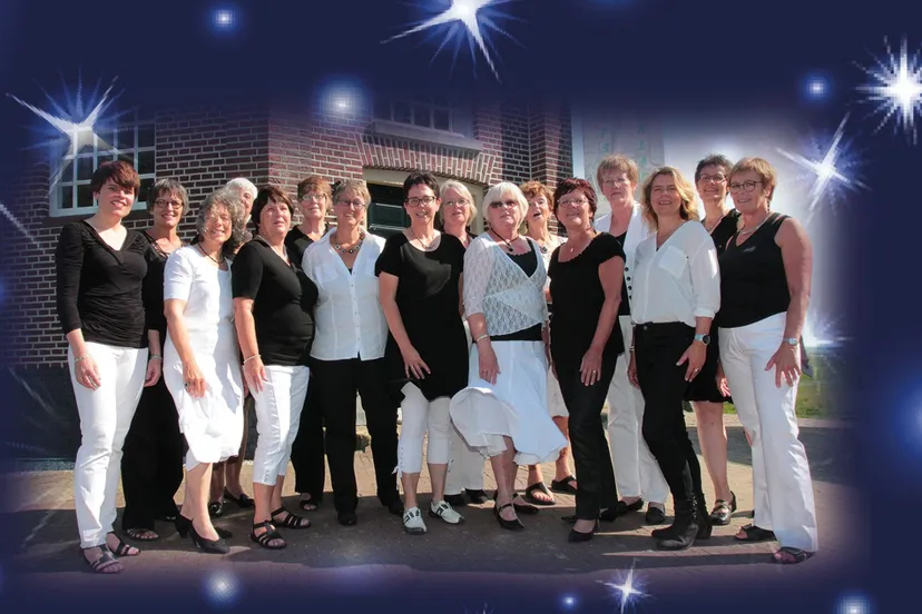 klein vrouwenkoor fd 2015