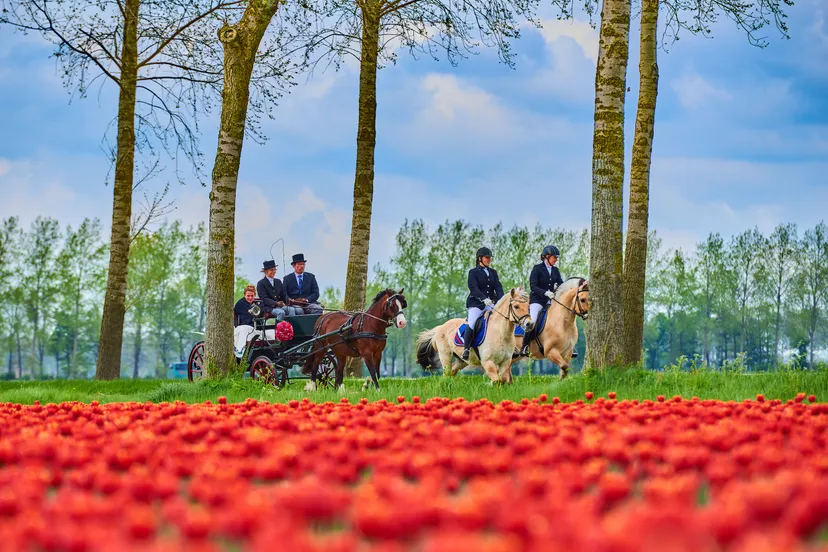 koetsentocht 2018 pimvandermaden 180428004