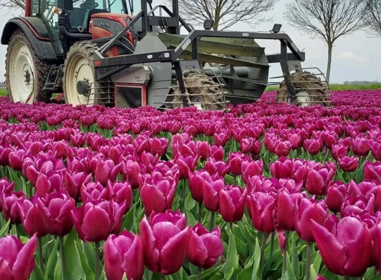 kopper firma van meer img 5353