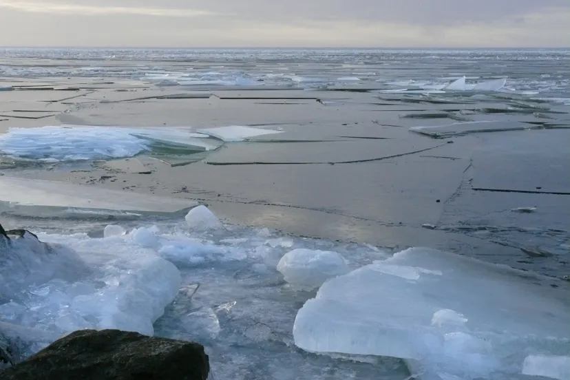 kruiend ijs ijsselmeer marghof