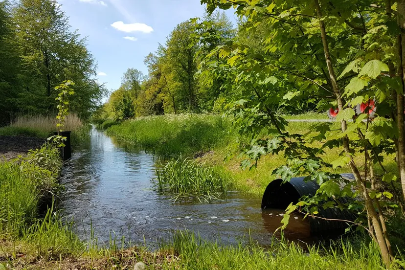 kuinderbos d6lulecwaaak4nf