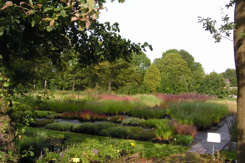 kwekerij 12 9 2021jpg1