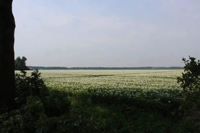 landeijk gebied noordoostpolder mhpublicatiesnl