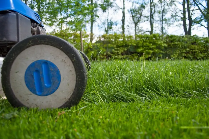 lawnmower 2786525 960 720