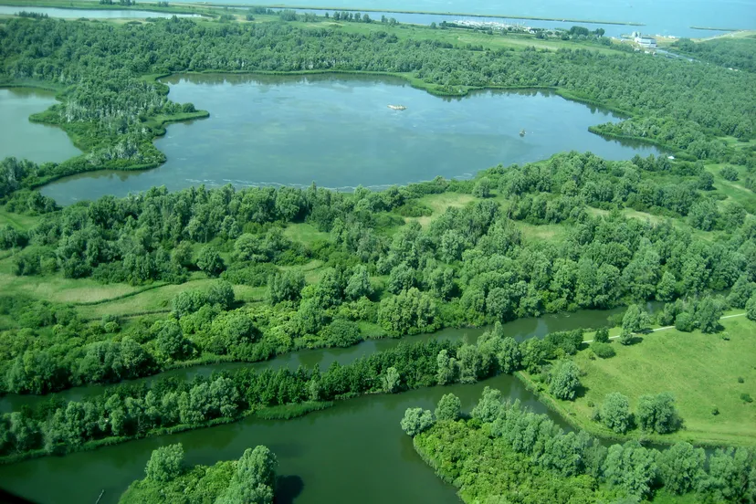 lepelaarplassen natuurnetwerk flevoland