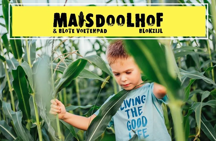 maisdoolhof 102962707 4161872493852950 7171631872130166216 o
