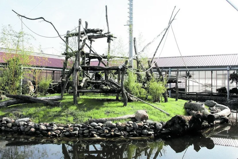 makirijk orchideeen hoeve