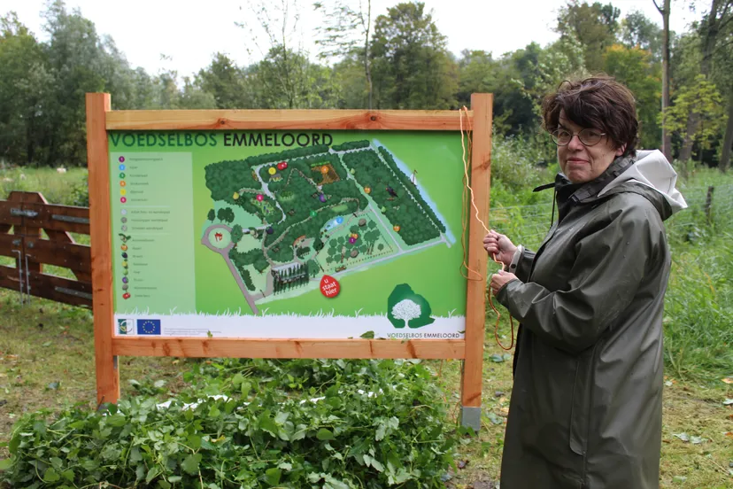 marian uitdewilligen