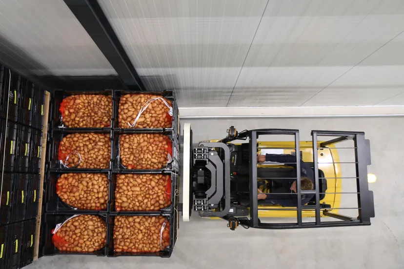 miniknollen in opslag