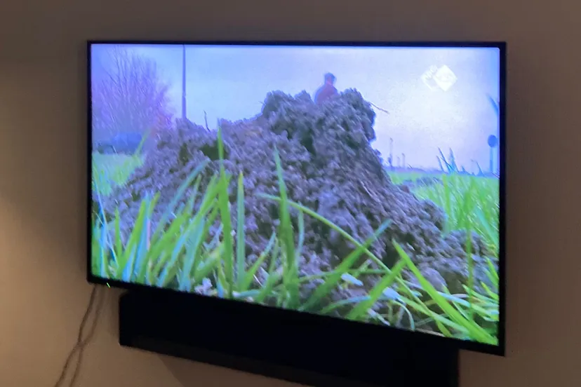 molshoop emmeloord img 8226