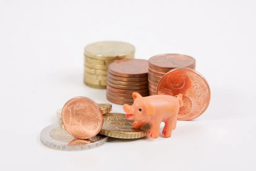 money piggy bank coins save pig ceramic economical save money 1209052jpgd
