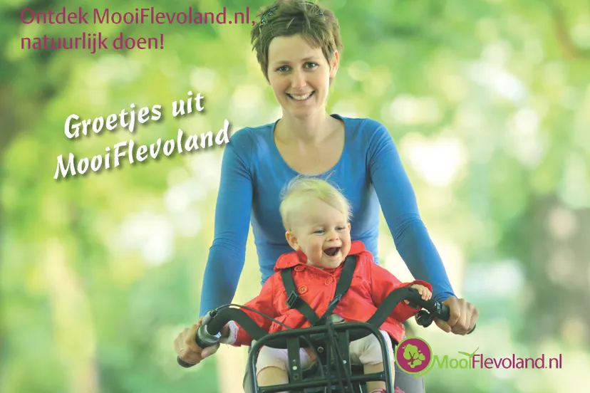 mooi flevoland mediakit 114620 nmff ansichtkaarten page 2