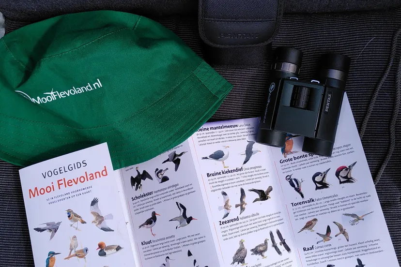 mooiflevolandzomeractie