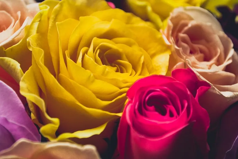 mothers day 4023595 960 720