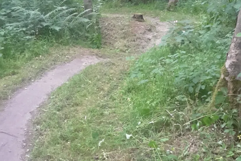 mtb kuinderbos 29062020 image 1