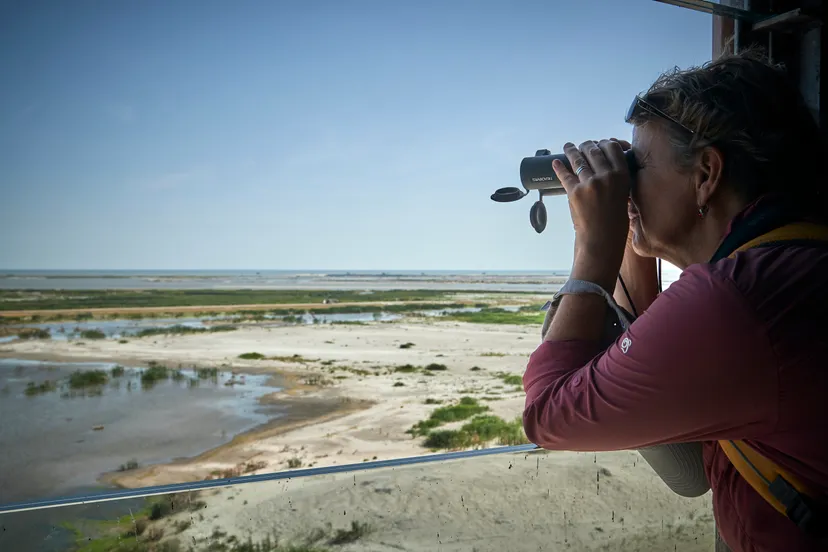 nationaal park nieuw land havene iland marker waddenallwrite