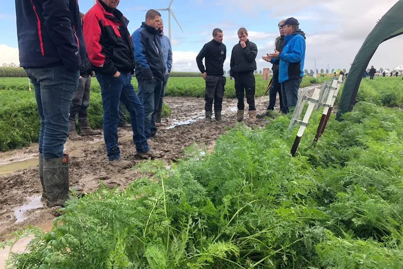 nationale peen manifestatie 9