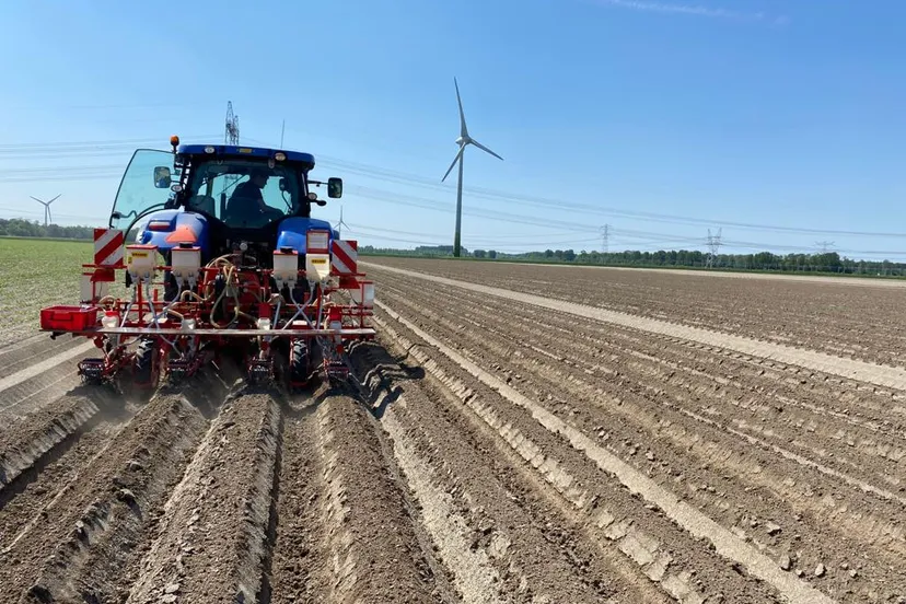 nationalepeenmanifestatie veldzaaien