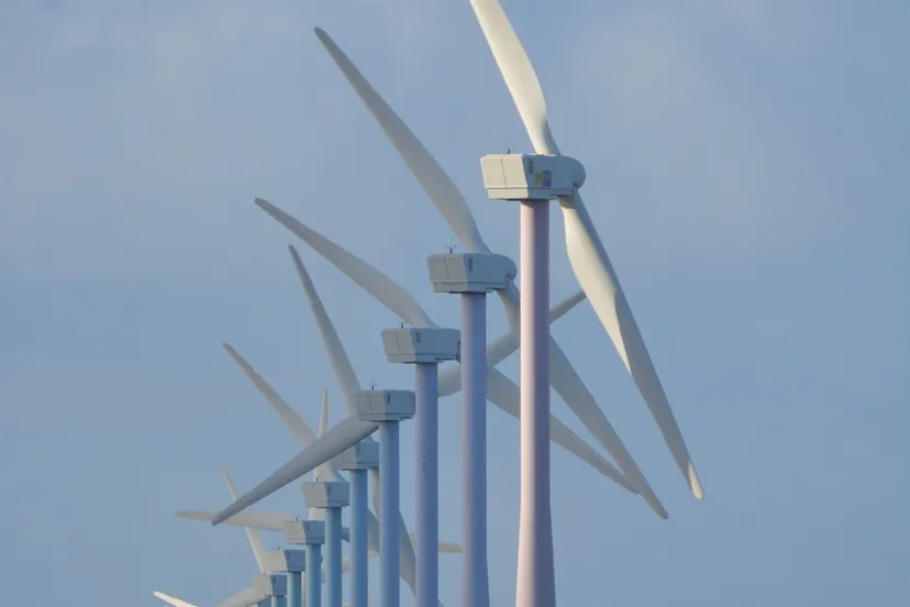 nature 678381 1920 e1570119373508