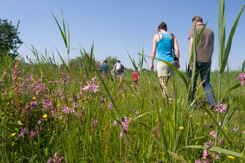 natuurmonumenten namo29994