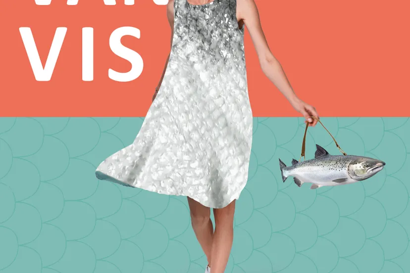 netwerk zuiderzeecollectie leervanvis campagnebeeld