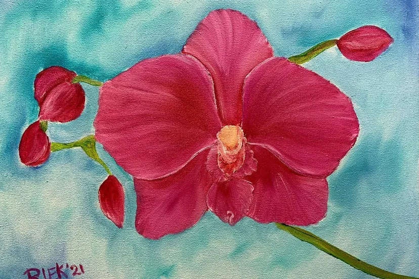 orchidee 219297658 1662893577243927 5439110141728081988 n