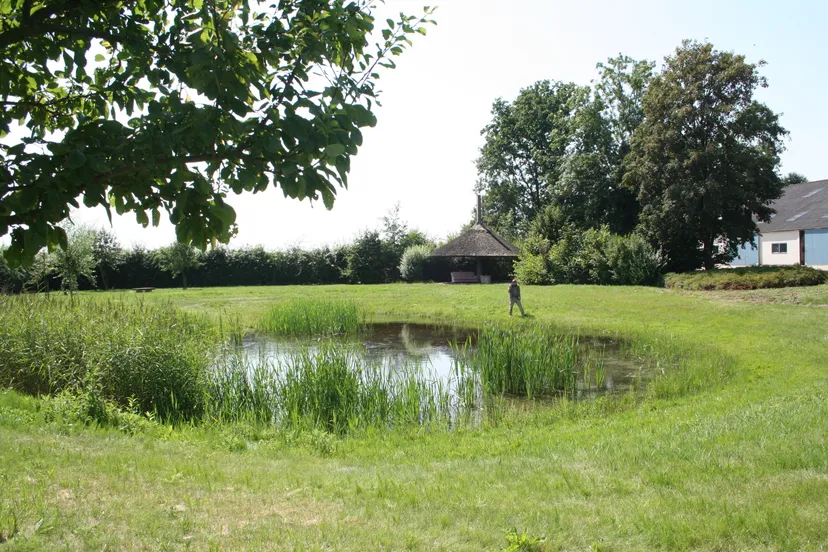 p suidgeest botweg 10 5 8 2009202