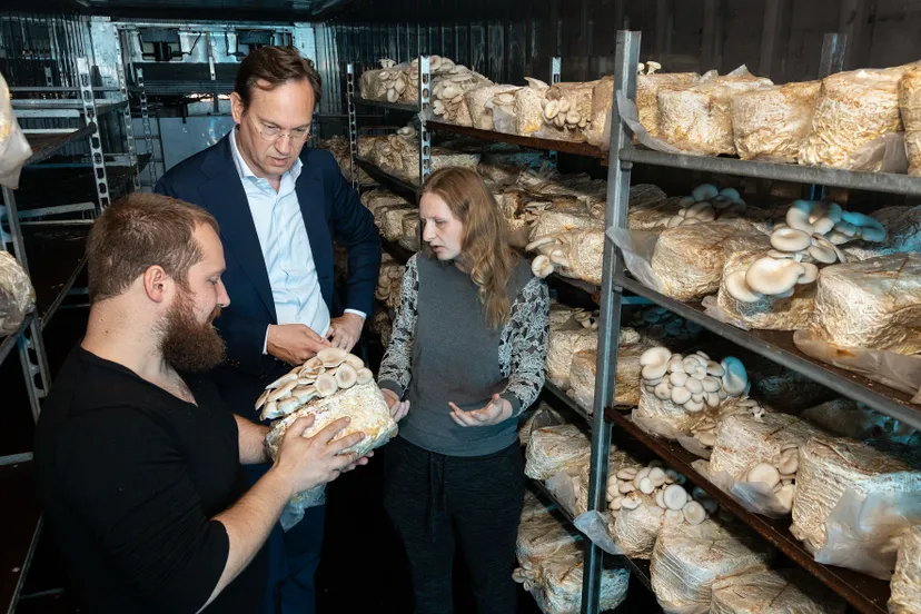 paddenstoelenkweker mycrophilia 1999 fotostudiowierd