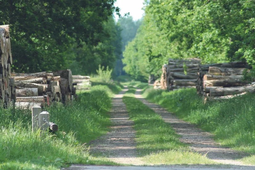 pagina 27 afbeelding 0001