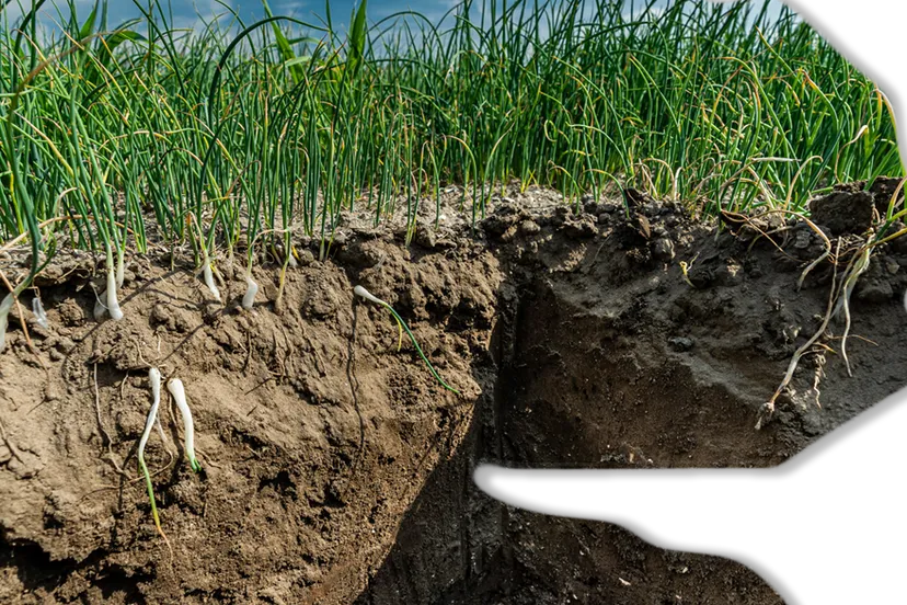 paul tolenaar unnamed 2