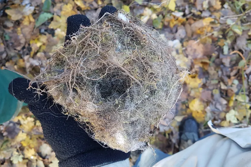 pb24 15001 nest winsterkoning