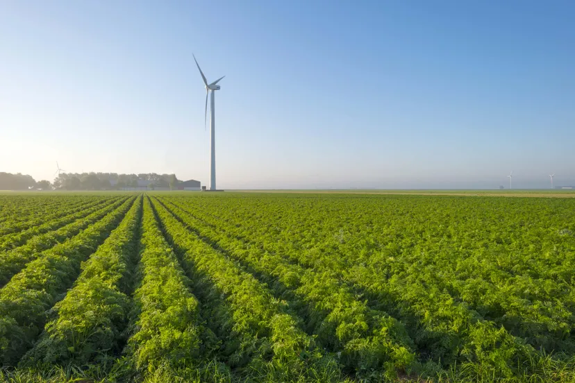 peen manifestatie 2019