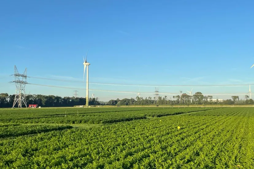 peenveld 8 september