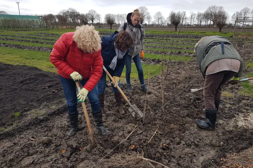 plantactie soroptimistclub