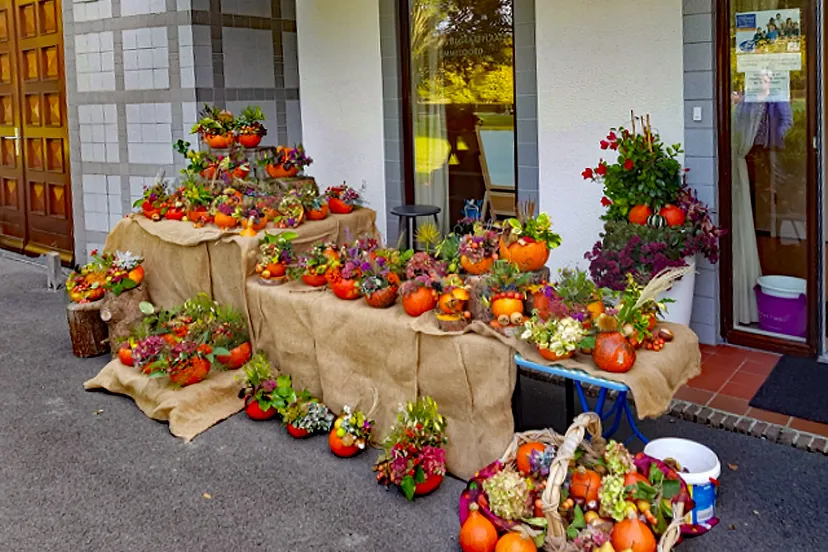 pompoendag impressie