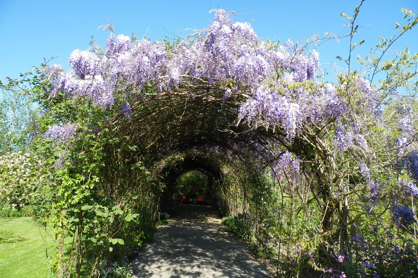 pronkjewail eiko de vries fb