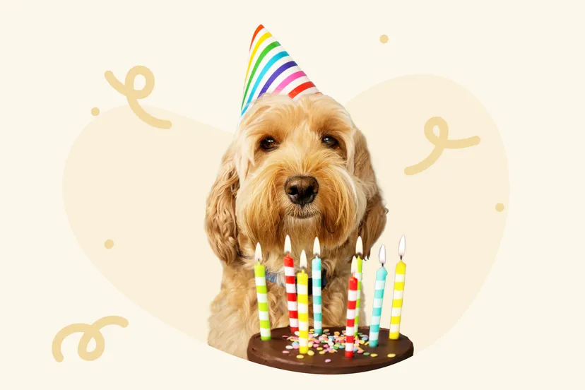 rechtenvrije afbeelding kaartje2go 2